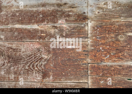 Wooden background and texture with some termite infestation. Rustic backdrop with framed empty copy space Stock Photo