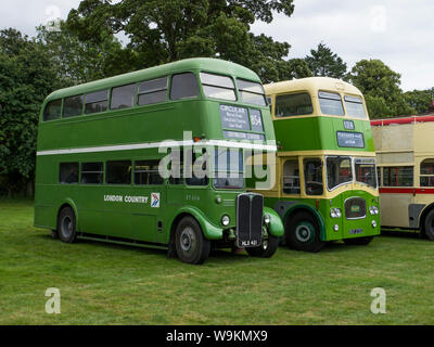 London Country RT Bus next to a A Leyland Titan PD3 'Queen Mary' bus in Southdown Livery at the Alton Bus Rally & Running Day 2019 Stock Photo