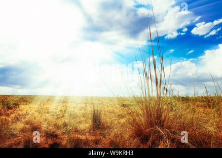 Scorching sun. Rays of sunlight coming through white clouds. Stock Photo