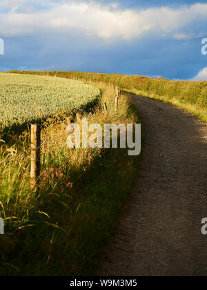 Country lane curving to the left through fields Stock Photo