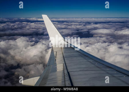Window wing view of high altitude flying airplane above puffy clouds bed. Day view inside commercial plane window of a metal wing without carrier logo Stock Photo