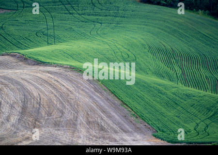 Plowed and unplowed farmland in the Palouse region of Washington State, near Colfax, WA Stock Photo