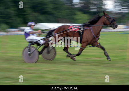 Turriff, Scotland - Aug 05, 2019: Sulky Racing at the Turriff Agricultural Show 2019 Stock Photo