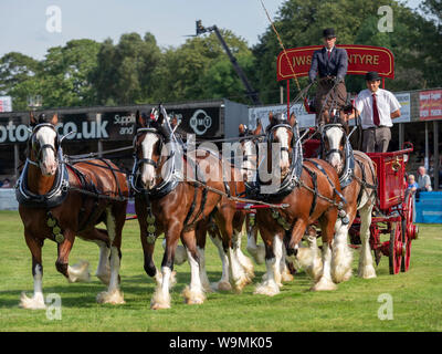 Turriff, Scotland - Aug 05, 2019: Display of horses and wagons during the Heavy Horse turnout at the Turriff Agricultural Show in Scotland. Stock Photo