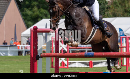 Turriff, Scotland - Aug 05, 2019: Horse clearing a jump during the Show Jumping competition at the Turriff Agricultural Show Stock Photo