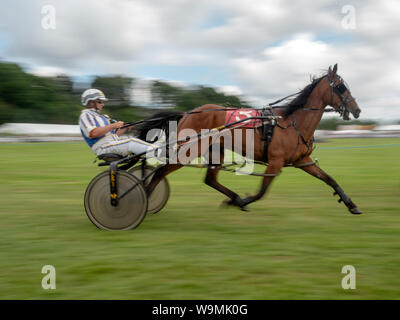 Turriff, Scotland - Aug 05, 2019: Sulky Racing at the Turriff Agricultural Show 2019 Stock Photo