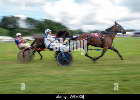 Turriff, Scotland - Aug 05, 2019: Sulky Racing at the Turriff Agricultural Show 2019 Stock Photo