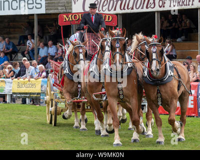 Turriff, Scotland - Aug 05, 2019: Display of horses and wagons during the Heavy Horse turnout at the Turriff Agricultural Show in Scotland. Stock Photo