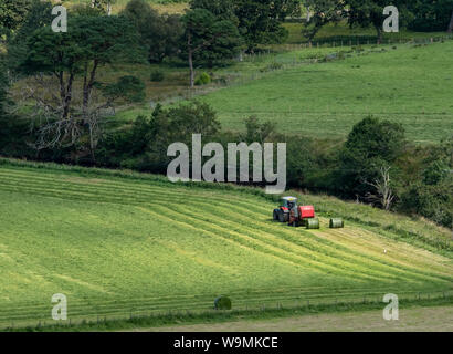 A tractor baling silage on a farm near Dunadd, Kilmartin Glen, Argyll. Stock Photo