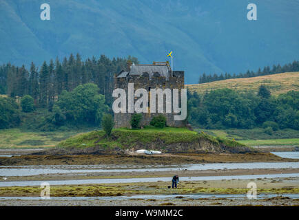 Castle Stalker pictured at low tide, the medieval tower house is built on a small islet at the mouth of Loch Laich, Argyll, Scotland. Stock Photo