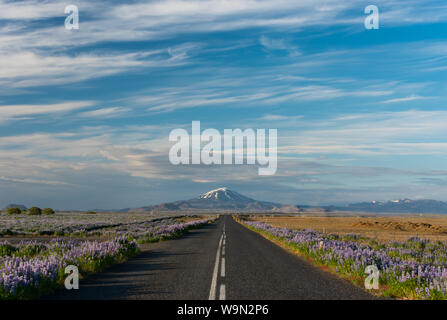 vulcanic mountain Hekla in Iceland, Europe Stock Photo