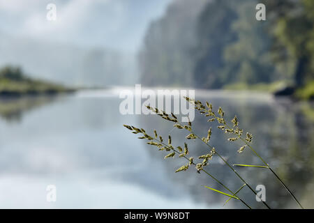 Island In Lake, Morning Light, Sweden by Roine Magnusson