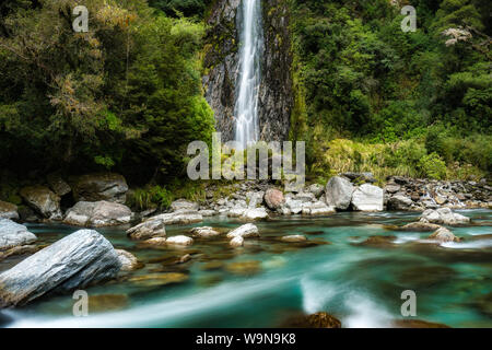 Spectacular waterfall in bush at Thunder Creek Falls, Haast Mt Aspiring National Park New Zealand