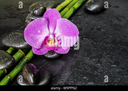 Spa concept with black basalt massage stones, pink orchid flower and green bamboo stalks covered with water drops on a black background, with copy-spa Stock Photo