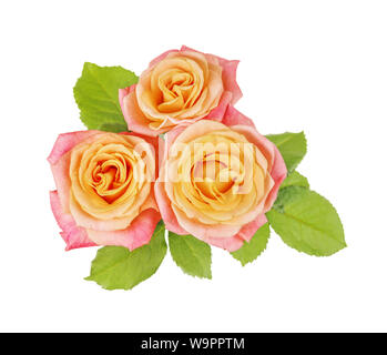 Beautiful bouquet of unique yellow-pink rose flowers, isolated on white background Stock Photo