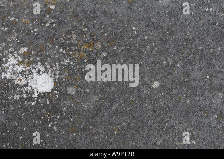 Concrete floor with a large white patch of mold on it Stock Photo