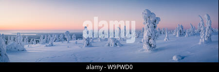 Very wide panorama of snow packed trees on Riisitunturi fell in Riisitunturi National Park, Posio, Finland Stock Photo