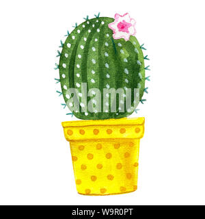 Watercolor cacti and succulents. Raster illustrations for greeting cards, invitations, and other printing projects on a white background.High resoluti Stock Photo