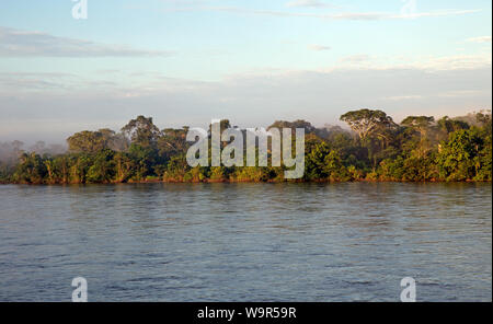View of Napo river in Ecuadorian rainforest Stock Photo