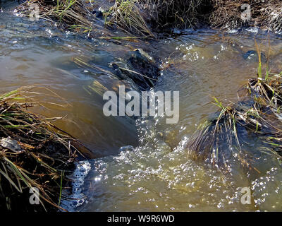 Streams of water in a small river. The flow of water Stock Photo