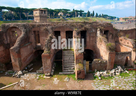 Excavations at ancient terrace, ruin, stand of Circus Maximus, Rome, Italy, Europe Stock Photo