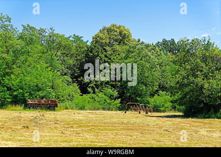 Wiese, gemäht, Heu, Ackerwagen, Heuwender Stock Photo