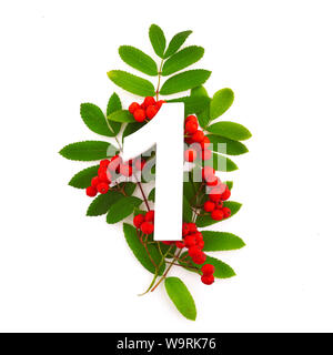 Number one shape with green leaves and red rowan berries. Nature concept. Flat lay. Top view Stock Photo