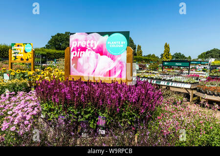 England, Surrey, Guildford, Wisley, The Royal Horticultural Society Garden, Plant Centre, Plants for Sale, 30064269 *** Local Caption *** Stock Photo