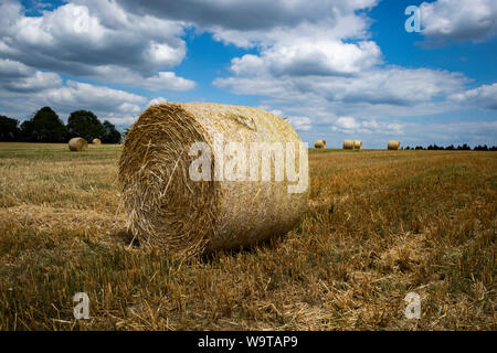 Straw bales on the field Stock Photo
