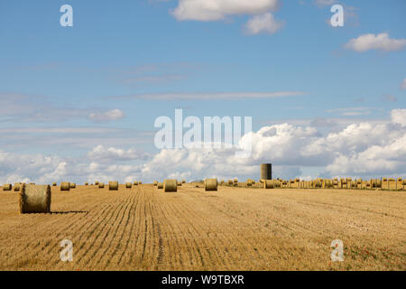 Harvest Time - Hay bales standing in a field on a beautiful summer day with blue skies and clouds Stock Photo