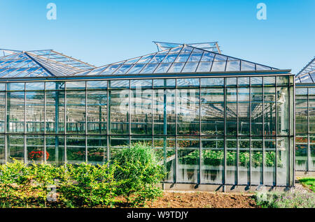 Exterior of a flower growing greenhouse in the Netherlands. Stock Photo