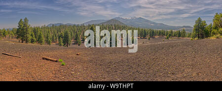 View of San Francisco Peaks from Lenox Crater, Sunset Crater Volcano National Monument, Arizona, United States Stock Photo