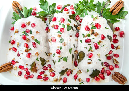 Chiles en nogada, a dish from Mexican cuisine Stock Photo