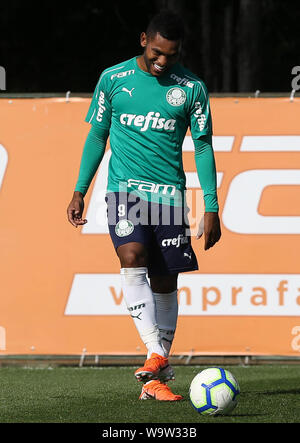 Sao Paulo, Brazil. 15th Aug, 2019. Borja from SE Palmeiras during training at the Football Academy. Credit: Foto Arena LTDA/Alamy Live News Stock Photo