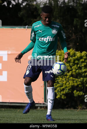 Sao Paulo, Brazil. 15th Aug, 2019. The Vitão player of SE Palmeiras during training at the Football Academy. Credit: Foto Arena LTDA/Alamy Live News Stock Photo