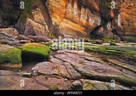 A minus low tide offers a temporary exploration among the sandstone walls of Devils Punchbowl on Oregon’s central coastline. Stock Photo