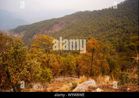 Valley where Jim Corbett shot the Chowgarh maneating tigress, Kala Agar, Uttarakhand, India Stock Photo