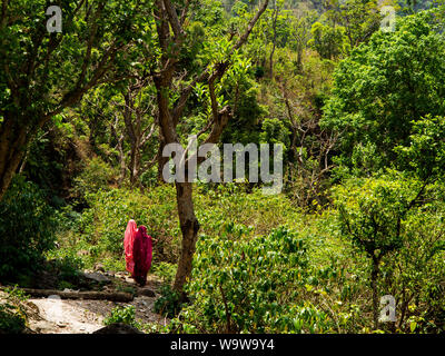 Indian womans in traditional sari at the big ravine where Jim Corbett shot two tigers in 1930 at Kundal Village on Nandhour Valley, Uttarakhand, India Stock Photo