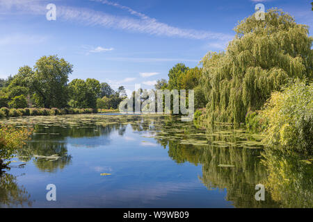 Willows and pond at the Vyne, 16th-century country house and estate, near Basingstoke, Hampshire, England Stock Photo