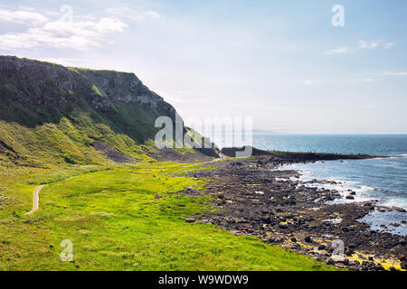 summer giants causeway coastline,Northern Ireland