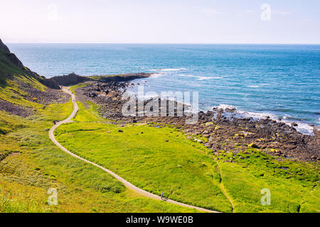 summer giants causeway coastline,Northern Ireland