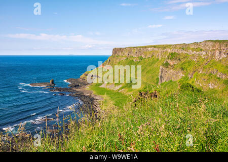 summer giants causeway coastline,Northern Ireland