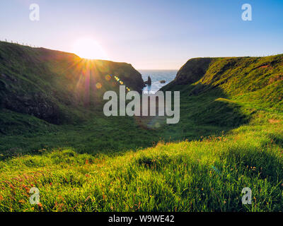 summer sunset giants causeway coastline,Northern Ireland Stock Photo
