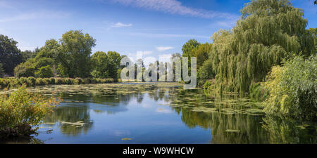 Willows and pond at the Vyne, 16th-century country house and estate, near Basingstoke, Hampshire, England Stock Photo