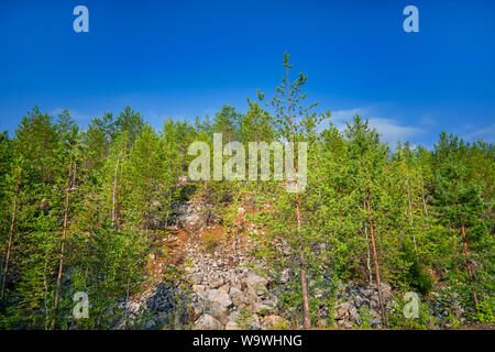 Panorama of mountain ridges covered by green forest on a clear sunny day against a blue sky background. Stock Photo