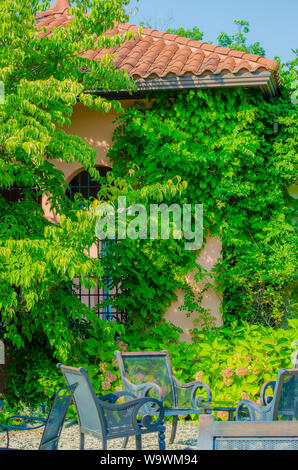 stucco house behind green vines Stock Photo