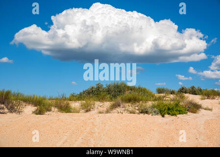Semi-desert landscape on sunny day with white clouds in the sky Stock Photo