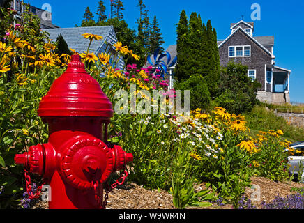 Flowers bloom in a yard in STONINGTON a major lobster fishing port and tourist destination - DEER ISLAND, MAINE Stock Photo