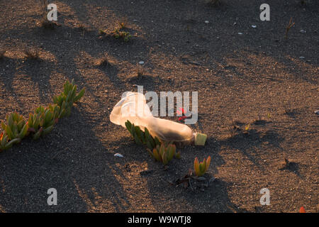 Empty single use plastic drink bottle on sandy beach in Buchupureo, Chile Stock Photo