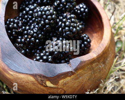 Invasive Himalayan blackberry transformed into a delicious snack, handpicked in a wooden bowl, closeup